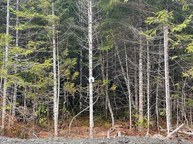 Lot C S Whitetail Way Greenville ME 04441