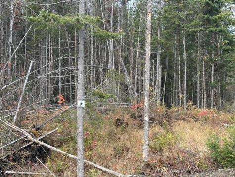 Lot C S Whitetail Way Greenville ME 04441
