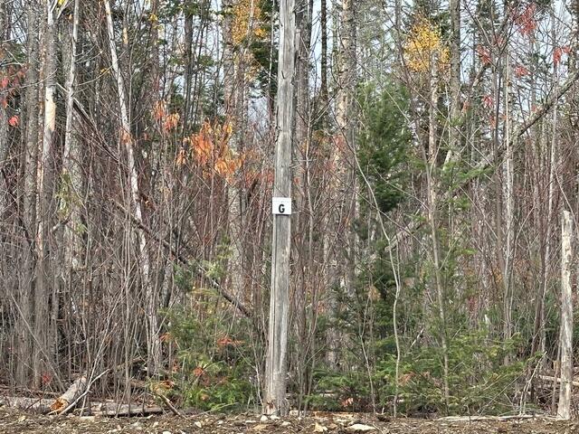 Lot C S Whitetail Way Greenville ME 04441