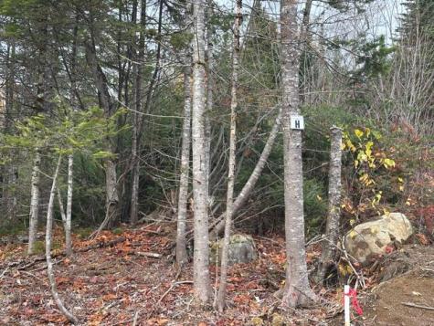 Lot C S Whitetail Way Greenville ME 04441