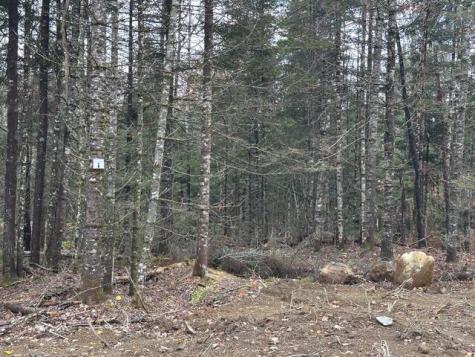 Lot C S Whitetail Way Greenville ME 04441