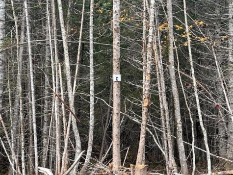 Lot C S Whitetail Way Greenville ME 04441