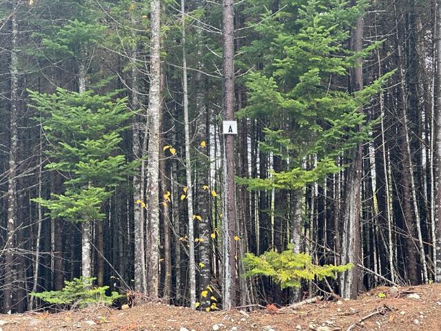 Lot C S Whitetail Way Greenville ME 04441