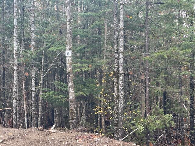 Lot C S Whitetail Way Greenville ME 04441