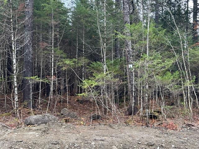 Lot C S Whitetail Way Greenville ME 04441