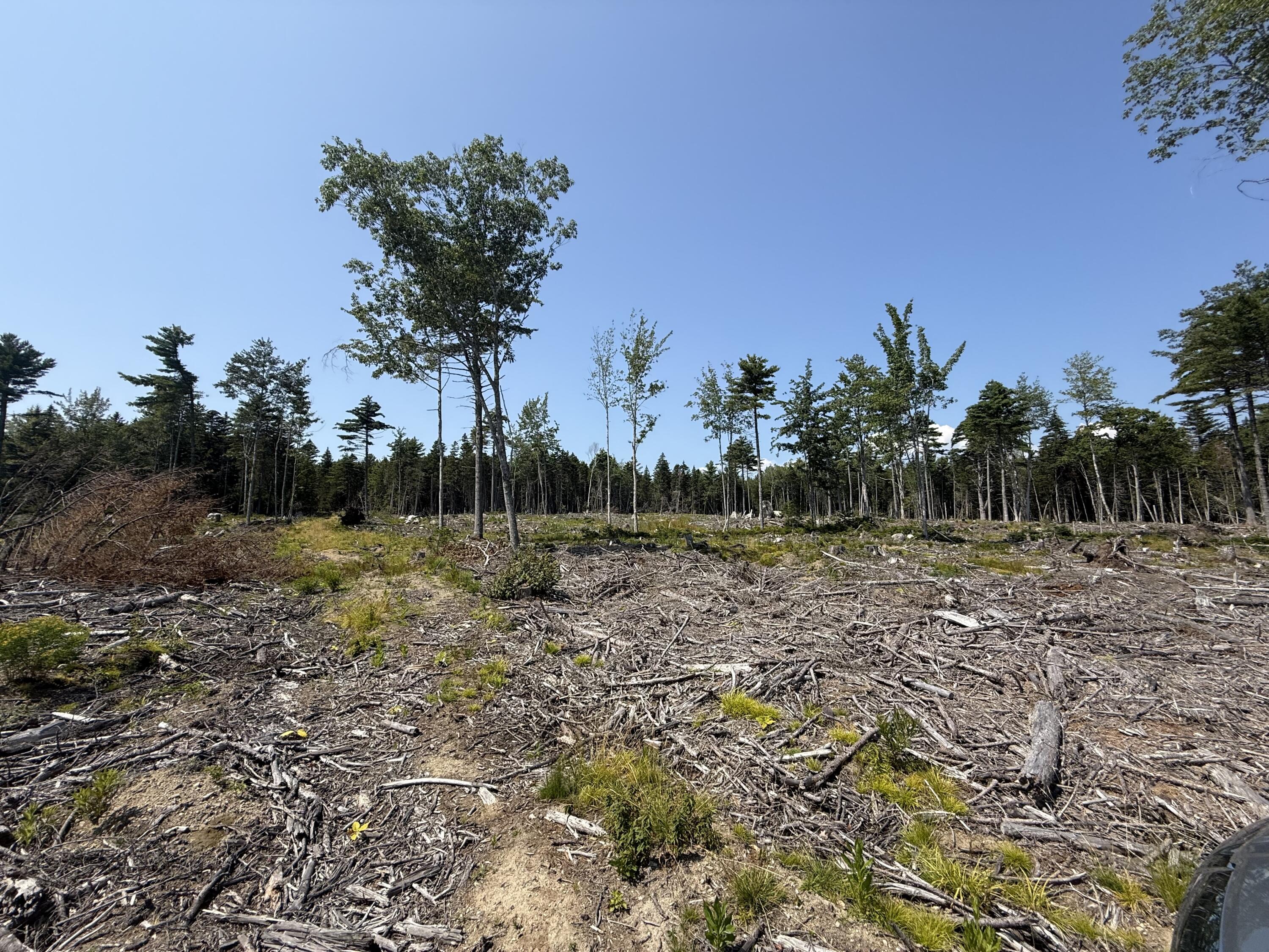 0 Solarina Avenue Sullivan ME 04664