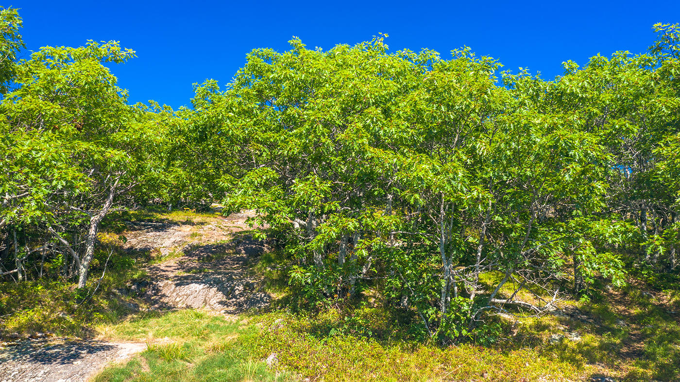 000 Tolman Road Warren ME 04864