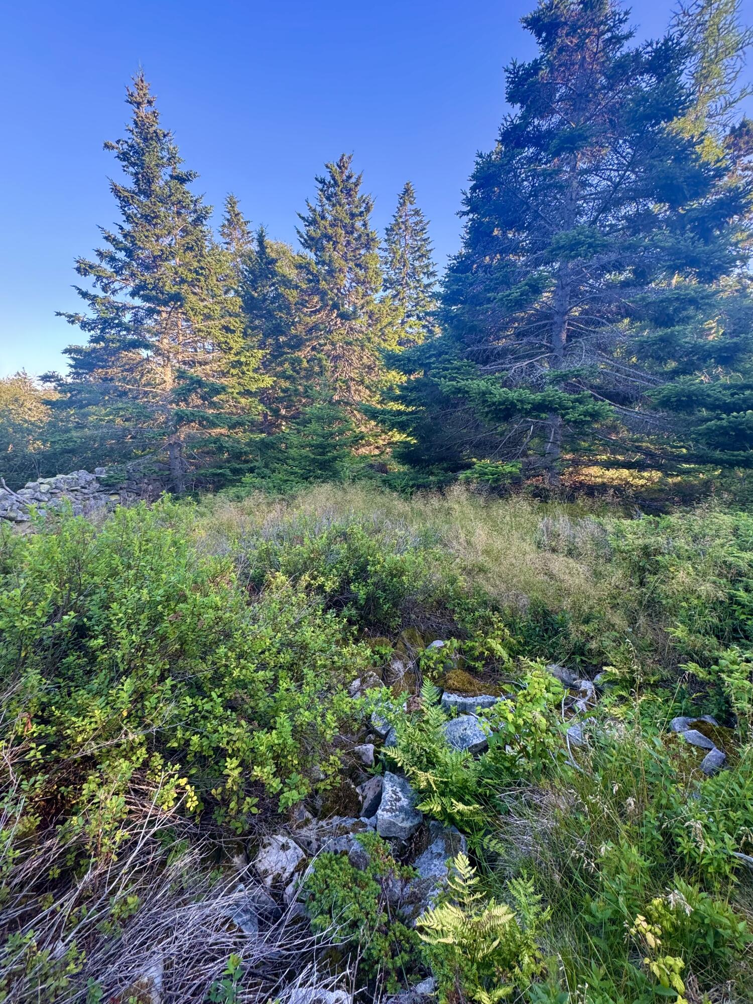 Lot #3 Pequot Road Vinalhaven ME 04863