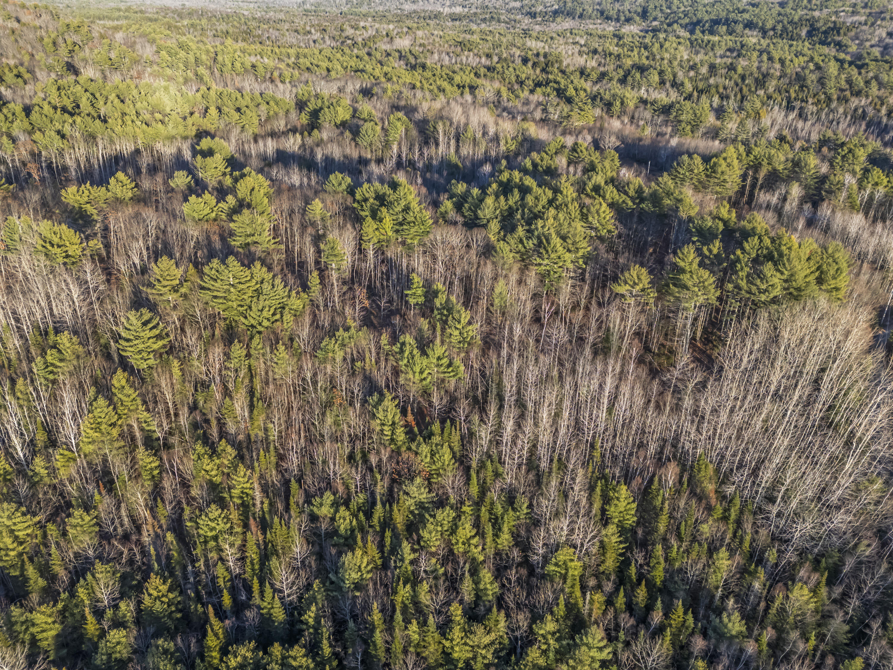 Lot 2 Hostile Valley Road Palermo ME 04354