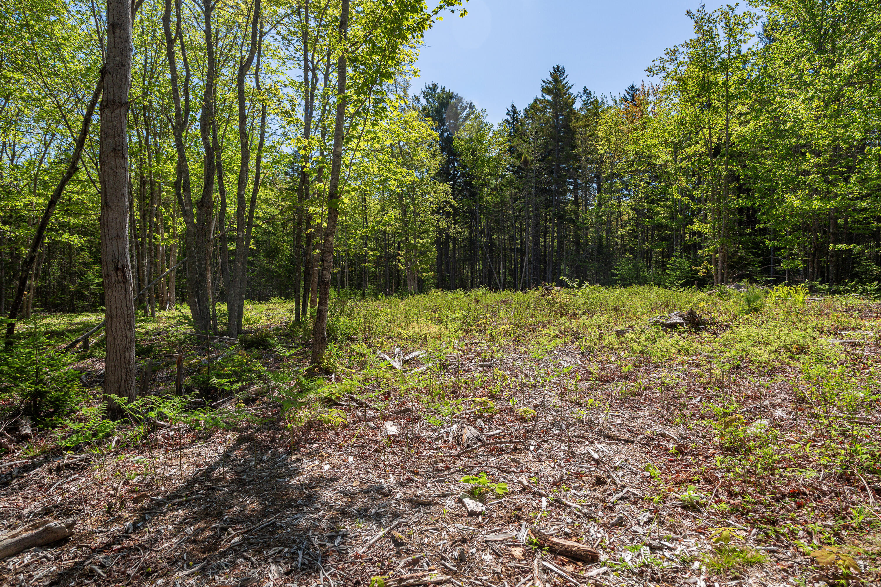 Lot 79-01 Knox Road Bar Harbor ME 04609