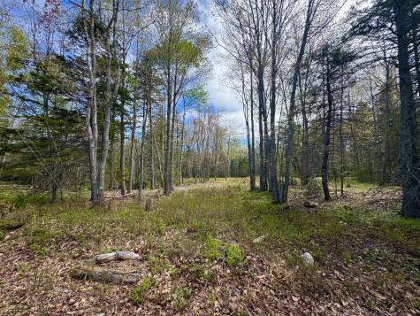 Lot 79-01 Knox Road Bar Harbor ME 04609