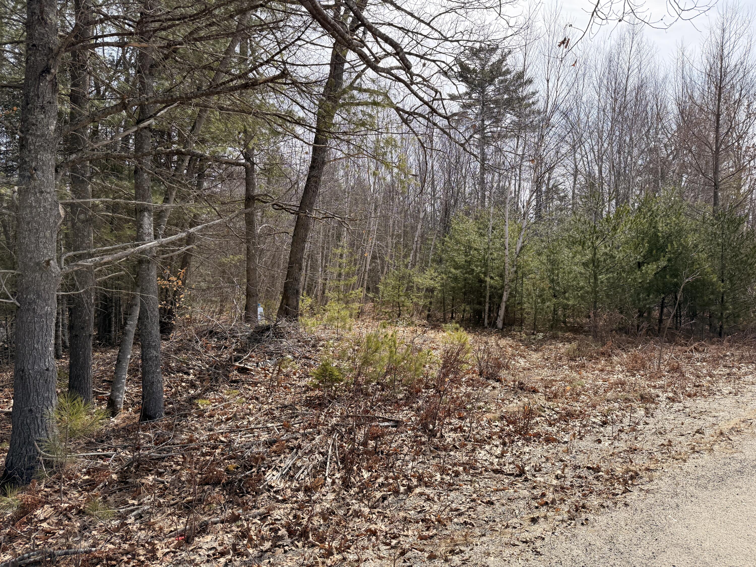 Lot #5 Mohawk Road Enfield ME 04493