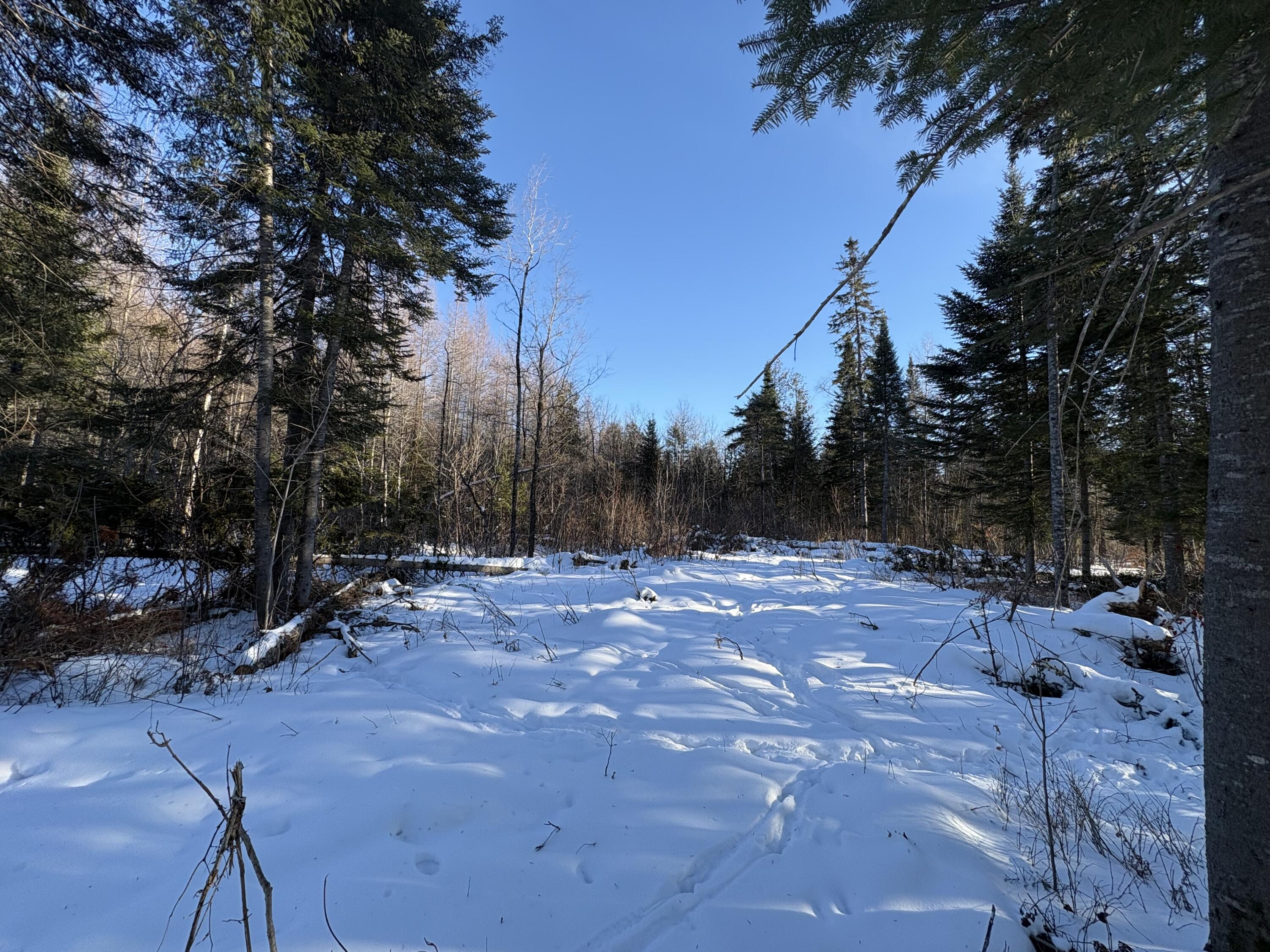 M10L4-1 Yard Road Oakfield ME 04763
