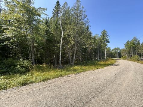 10 Bufford Drive Waltham ME 04605