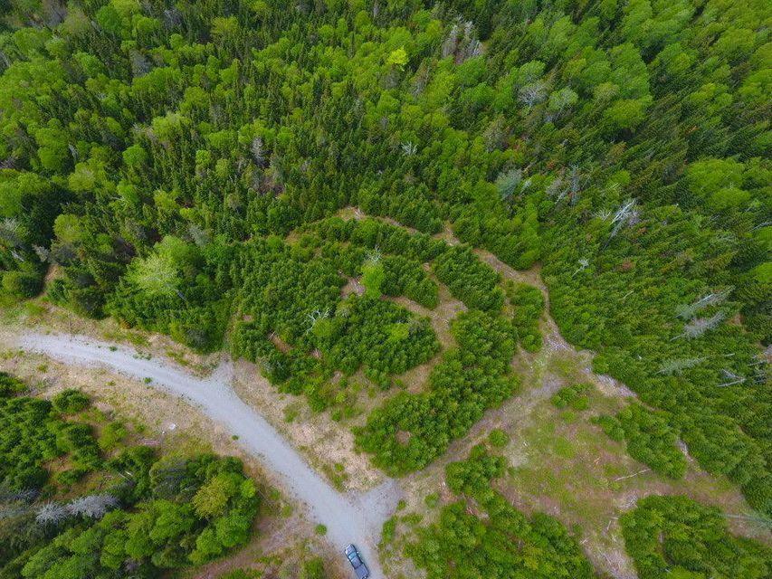 31-24 Palmer Way Dallas Plt ME 04970