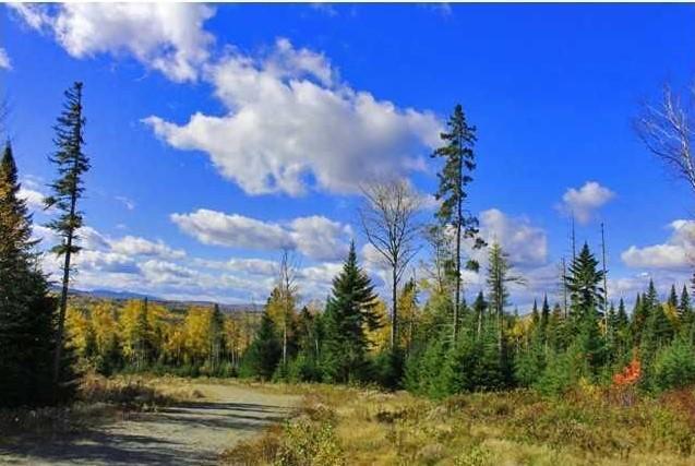 31-24 Palmer Way Dallas Plt ME 04970