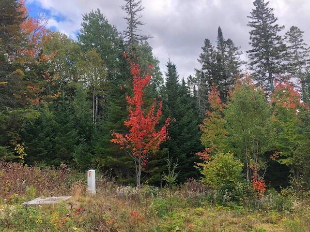 31-24 Palmer Way Dallas Plt ME 04970