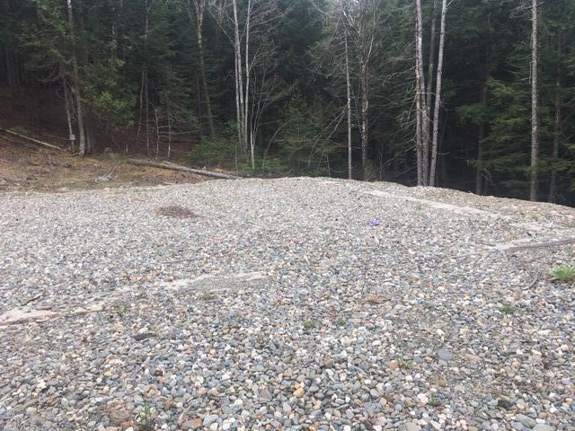 Lots 2&3 Maple Ridge Road Dedham ME 04429