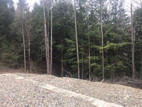 Lots 2&3 Maple Ridge Road Dedham ME 04429