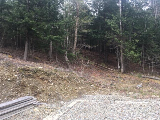 Lots 2&3 Maple Ridge Road Dedham ME 04429