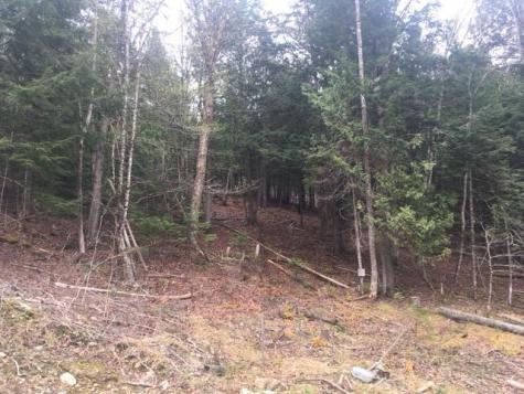 Lots 2&3 Maple Ridge Road Dedham ME 04429