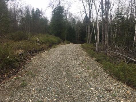 Lots 2&3 Maple Ridge Road Dedham ME 04429