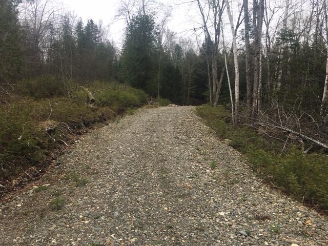 Lots 2&3 Maple Ridge Road Dedham ME 04429