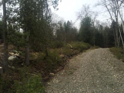 Lots 2&3 Maple Ridge Road Dedham ME 04429