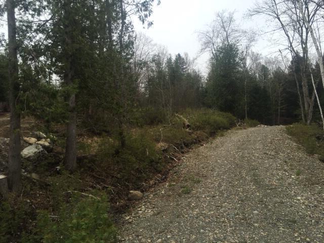 Lots 2&3 Maple Ridge Road Dedham ME 04429