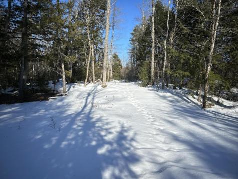 M7L22,L31 Nelson Ridge Road N Washington ME 04574