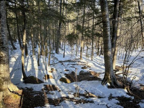 M7L22,L31 Nelson Ridge Road N Washington ME 04574