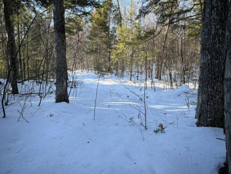 M7L22,L31 Nelson Ridge Road N Washington ME 04574