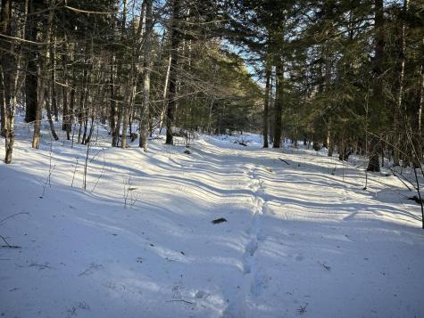 M7L22,L31 Nelson Ridge Road N Washington ME 04574