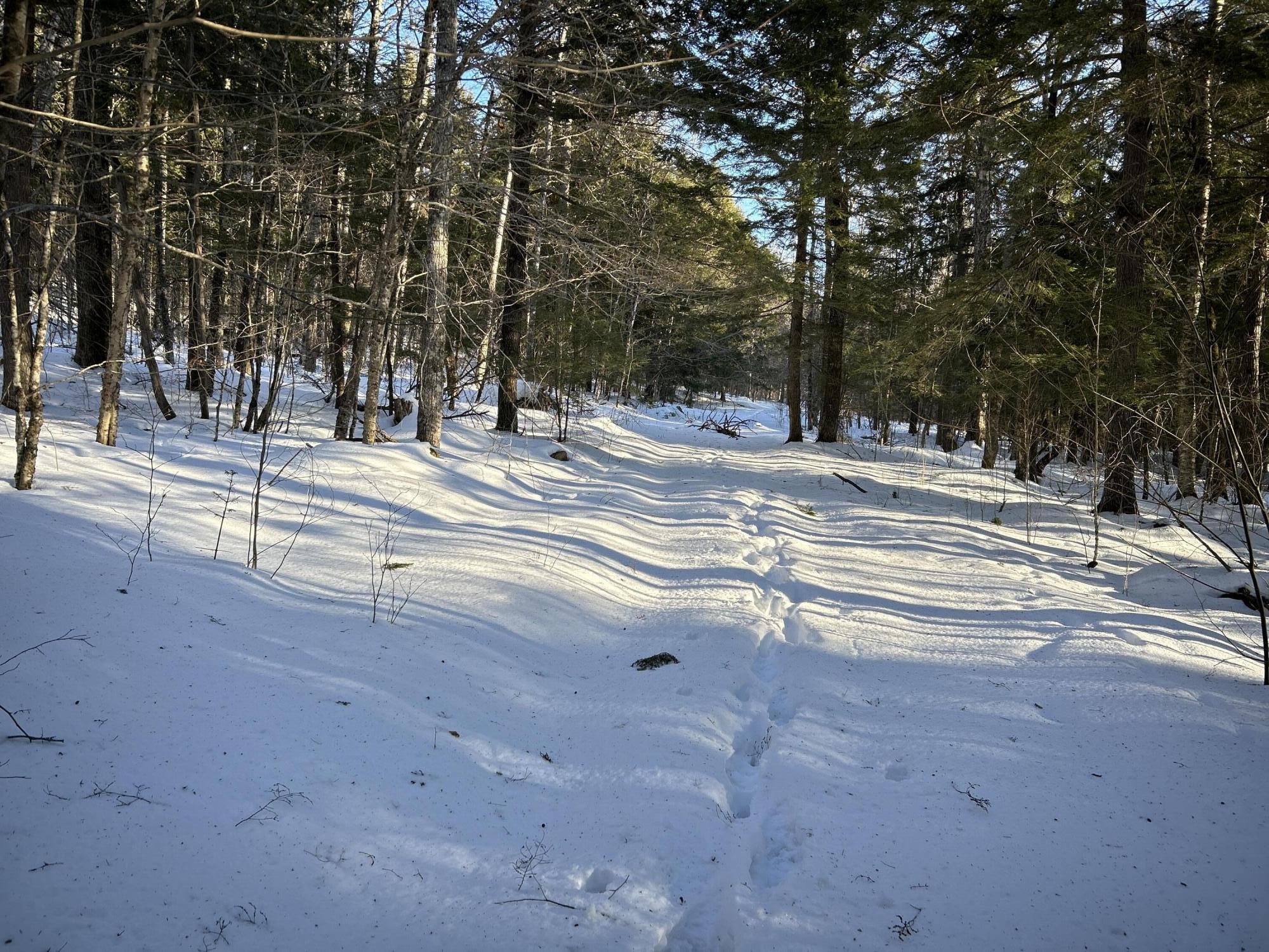 M7L22,L31 Nelson Ridge Road N Washington ME 04574