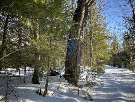 M7L22,L31 Nelson Ridge Road N Washington ME 04574