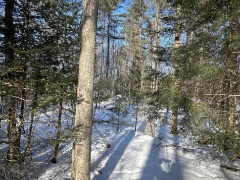 M7L22,L31 Nelson Ridge Road N Washington ME 04574