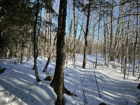 M7L22,L31 Nelson Ridge Road N Washington ME 04574