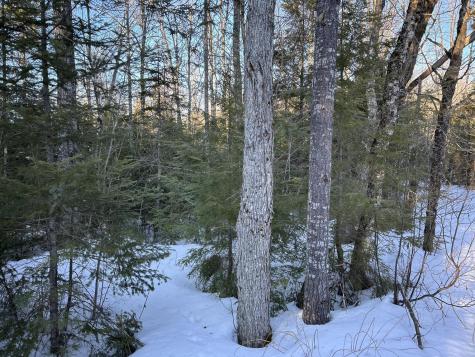 M7L22,L31 Nelson Ridge Road N Washington ME 04574