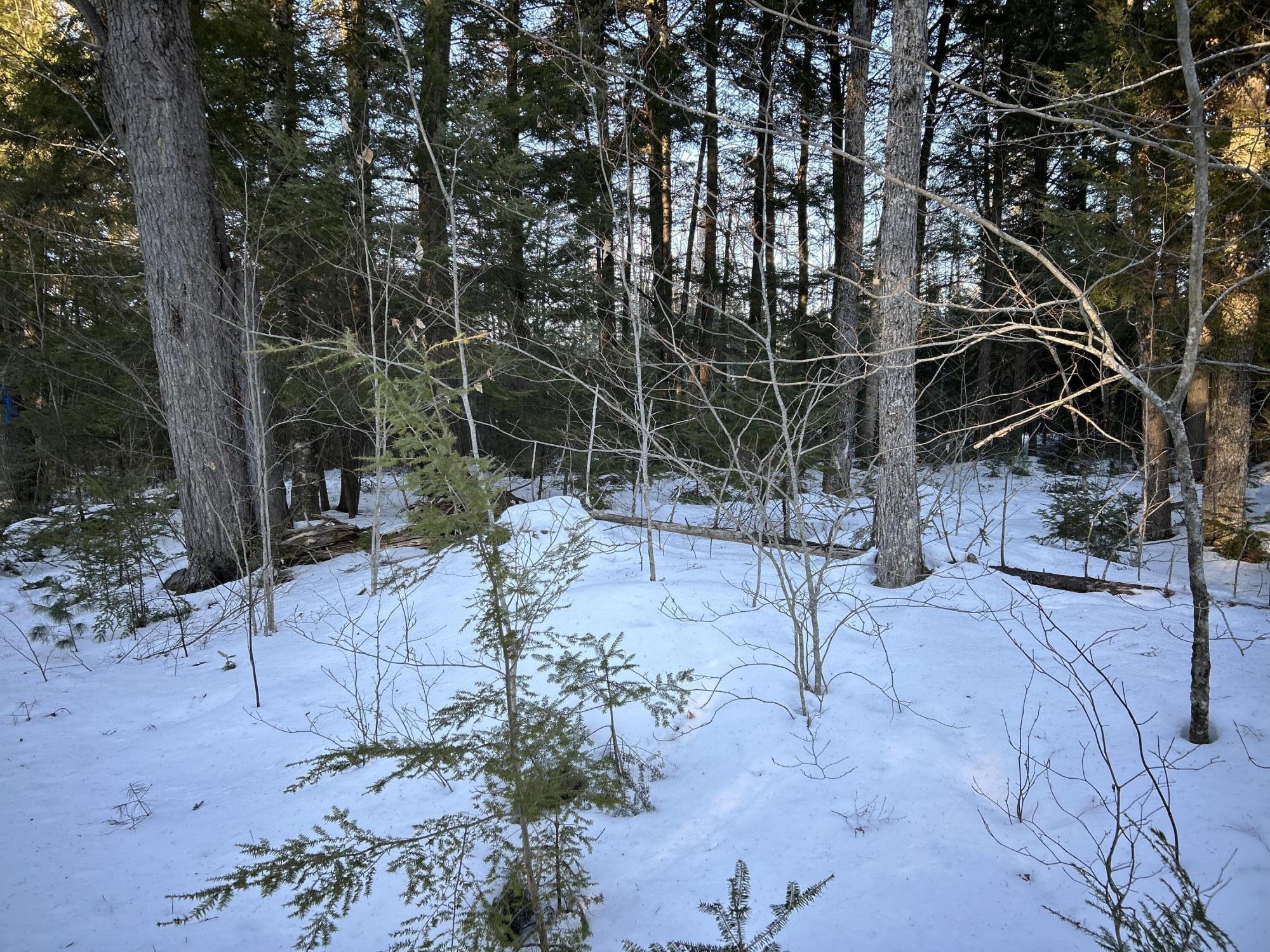 M7L22,L31 Nelson Ridge Road N Washington ME 04574