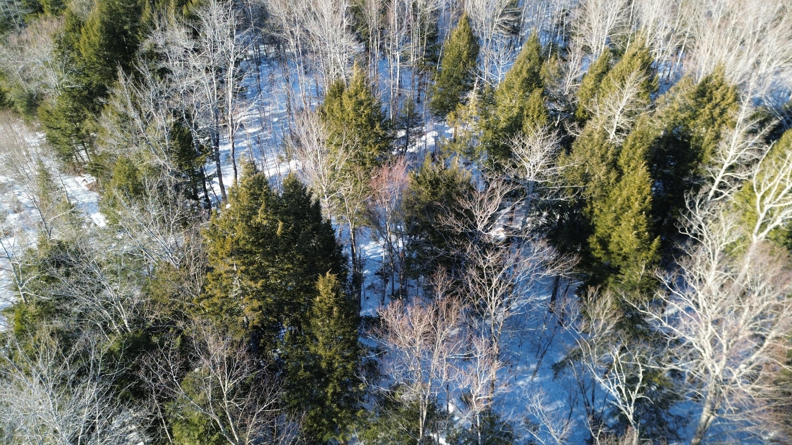 M7L22,L31 Nelson Ridge Road N Washington ME 04574