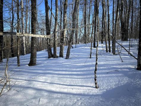 M7L22,L31 Nelson Ridge Road N Washington ME 04574