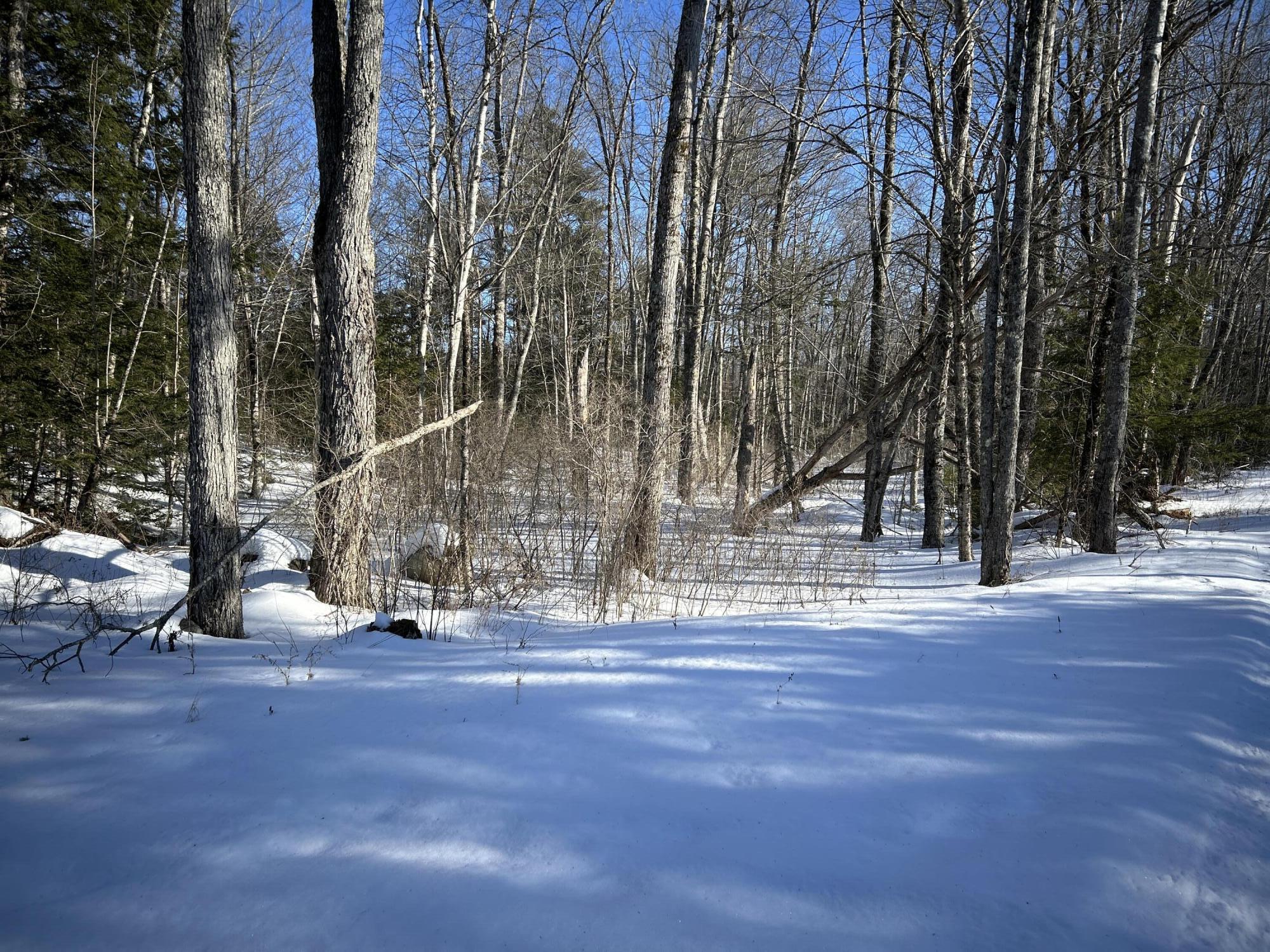M7L22,L31 Nelson Ridge Road N Washington ME 04574