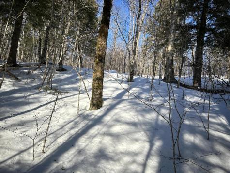 M7L22,L31 Nelson Ridge Road N Washington ME 04574
