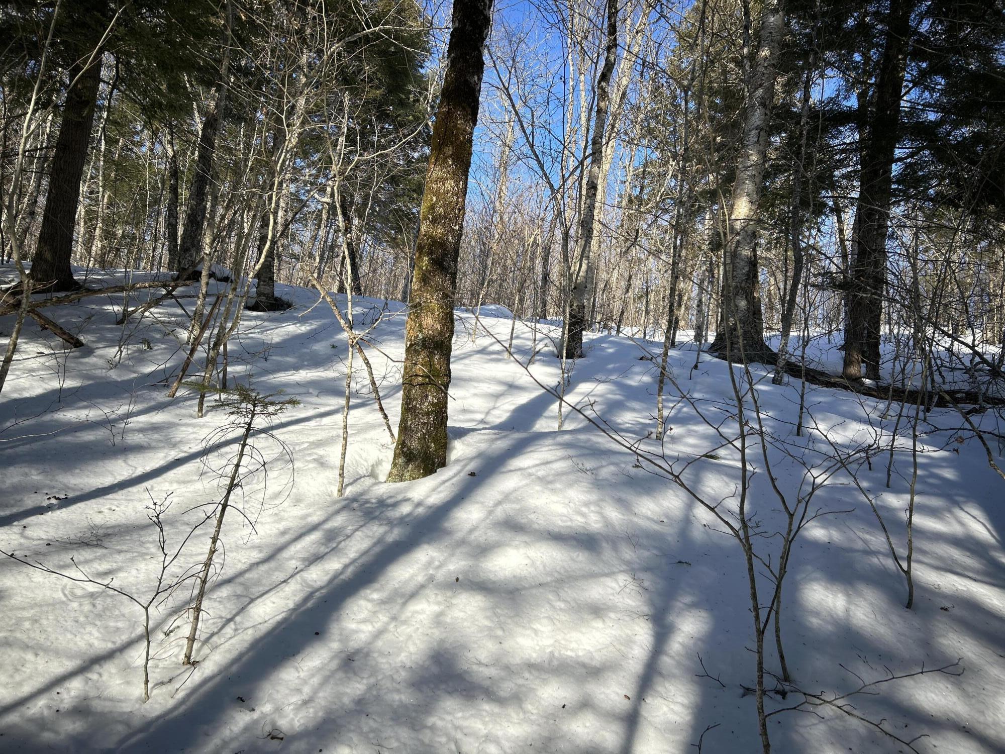M7L22,L31 Nelson Ridge Road N Washington ME 04574