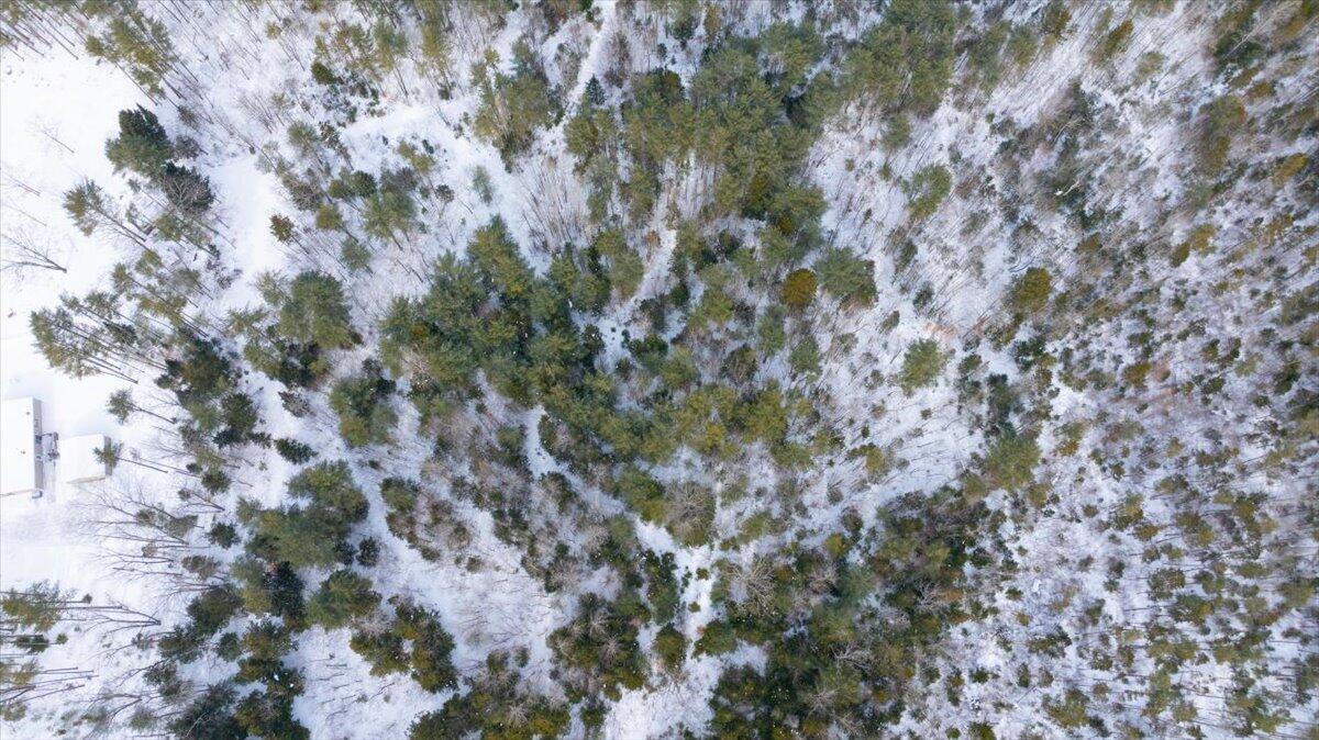 Lot 19 Dorr Road Wiscasset ME 04578