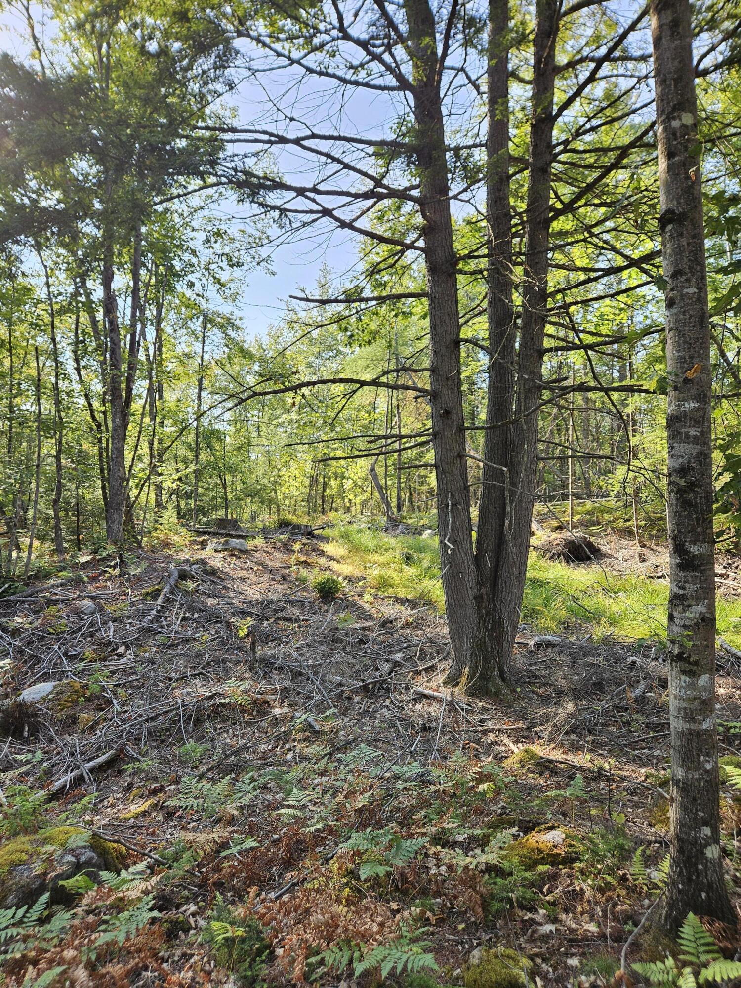 Lot A. Serenity Lane Oxford ME 04270
