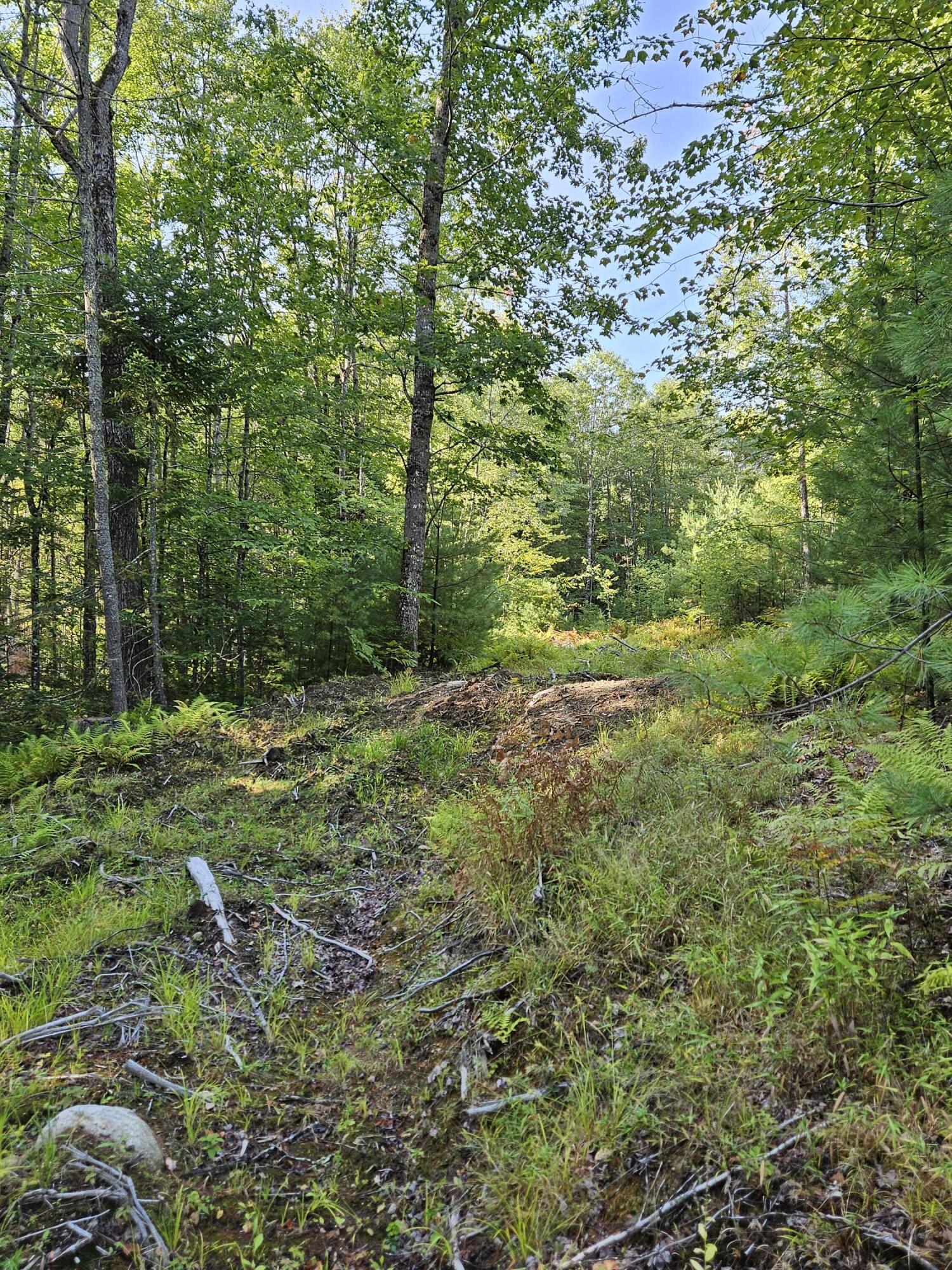 Lot A. Serenity Lane Oxford ME 04270