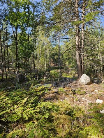 Lot A. Serenity Lane Oxford ME 04270