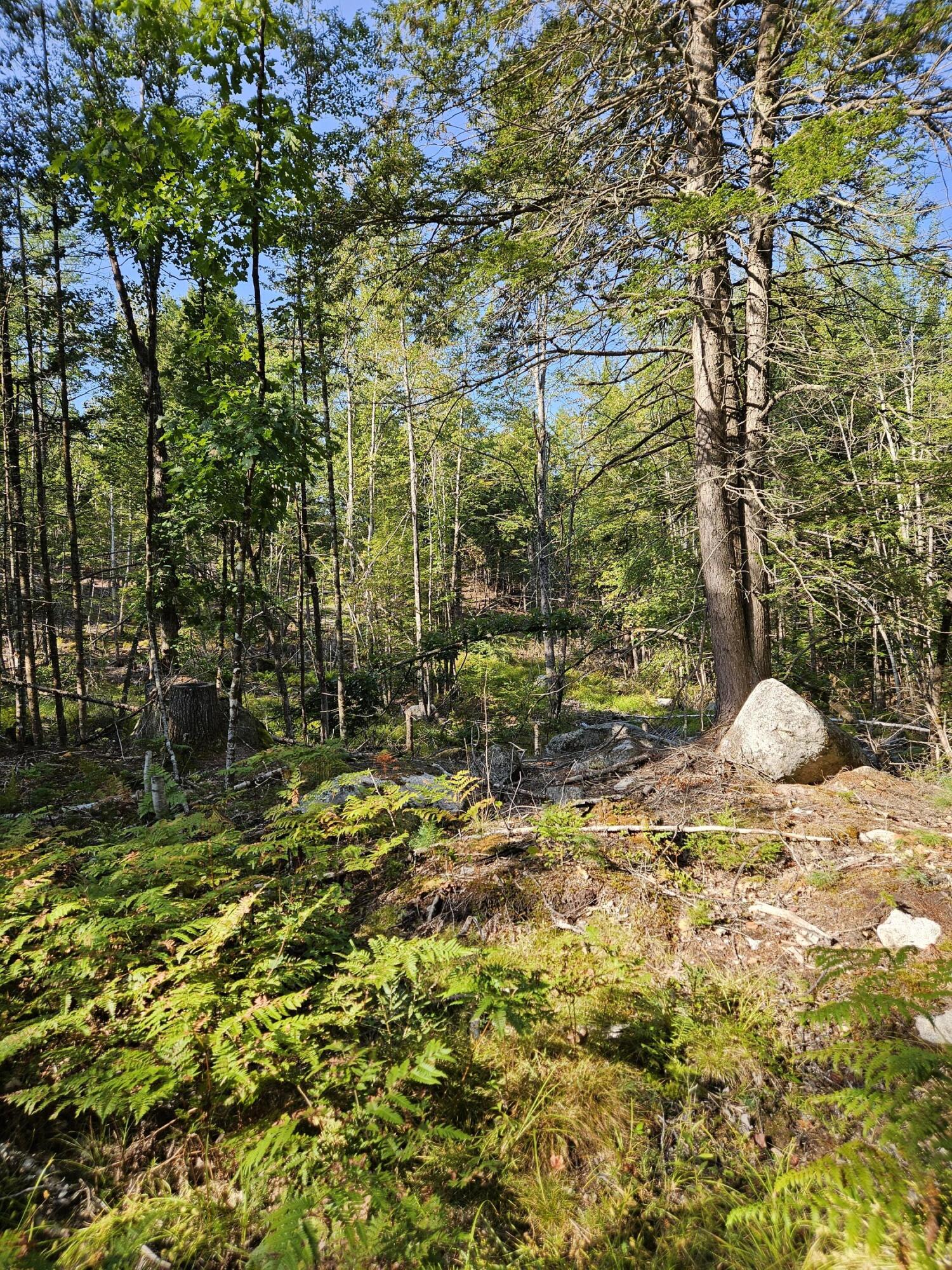 Lot A. Serenity Lane Oxford ME 04270