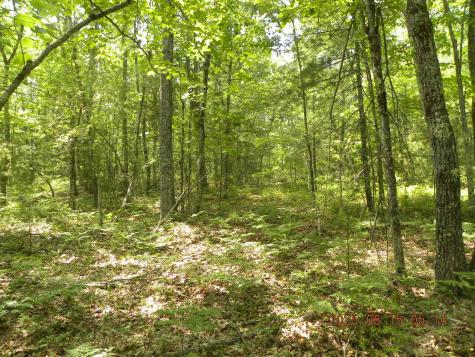 00 Bridge Street Newfield ME 04056